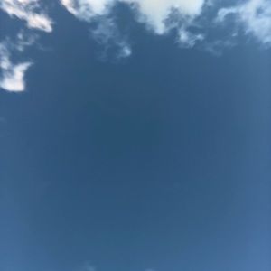 Meet your Posher, Kaelyn